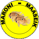 L.04 - MARONI MAASEIK