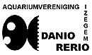 W.07 - DANIO RERIO IZEGEM