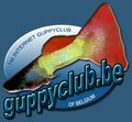 Guppyclub Belgium