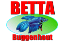 O.01 - BETTA BUGGENHOUT