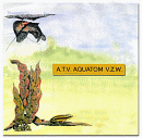 A.02 - A.T.V. AQUATOM vzw.