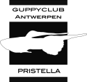 A.25 - GUPPYCLUB ANTWERPEN PRISTELLA